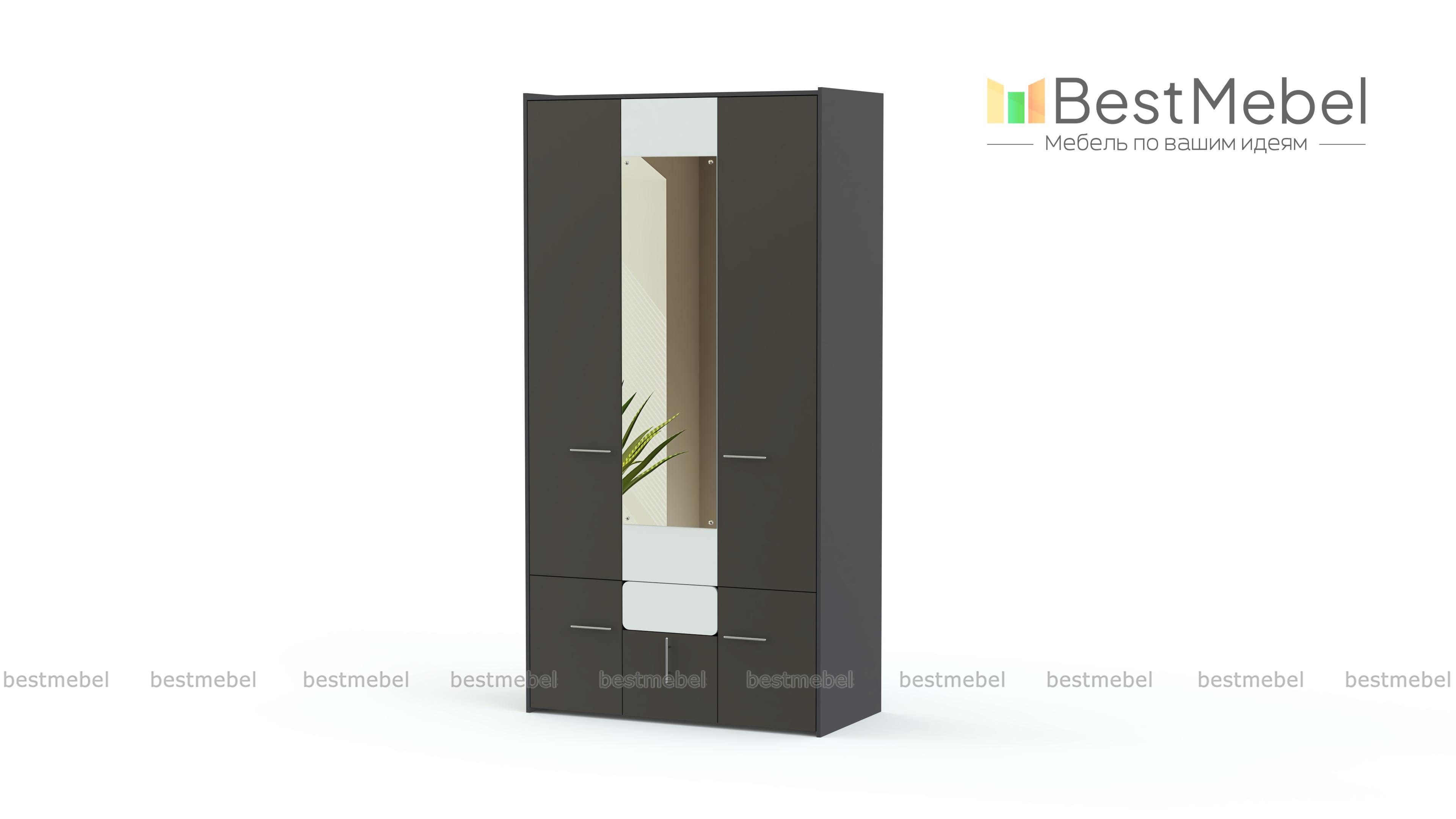 Распашной шкаф Элен-2 BMS - Фото