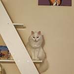 Стеллаж тип 14 BMS - Фото от клиента