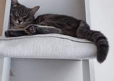 Стеллаж тип 14 BMS