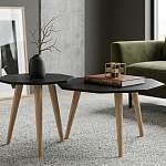 Журнальный стол Фалькон 15 BMS - Фото 1